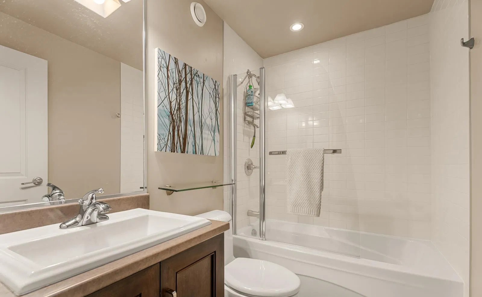 Lower Level Bathroom